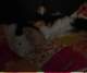 dsc08630_small.jpg