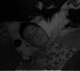 dsc08631_small.jpg