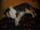 dsc08663_small.jpg