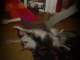 dsc08667_small.jpg