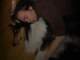 dsc08669_small.jpg
