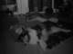 dsc08671_small.jpg