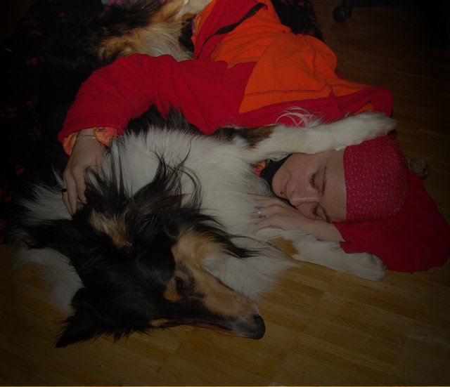 dsc08682.jpg