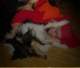 dsc08682_small.jpg
