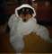 dsc08735_small.jpg