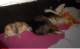 dsc08739_small.jpg