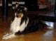 dsc08740_small.jpg