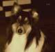 dsc08742_small.jpg