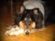 dsc08743_small.jpg