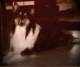 dsc08747_small.jpg