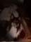 dsc08750_small.jpg