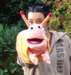 dsc07934_small.jpg
