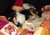 dsc08368_small.jpg