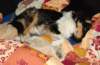 dsc08369_small.jpg