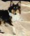 dsc08380_small.jpg