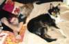 dsc08381_small.jpg