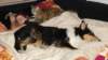 dsc08382_small.jpg