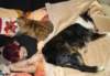 dsc08383_small.jpg