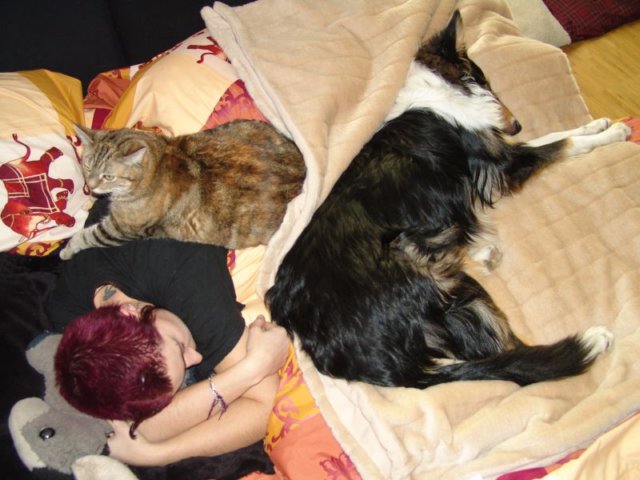 dsc08384.jpg