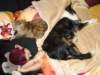 dsc08384_small.jpg
