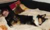 dsc08385_small.jpg