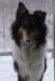 dsc08408_small.jpg