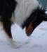 dsc08414_small.jpg