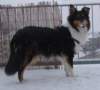 dsc08417_small.jpg