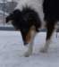 dsc08418_small.jpg