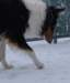 dsc08419_small.jpg