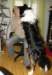 dsc08424_small.jpg