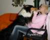 dsc08428_small.jpg