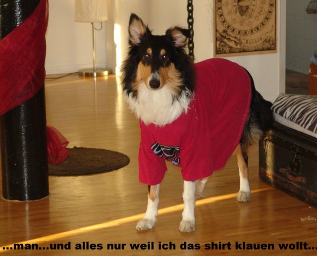 dsc08386.jpg