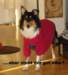 dsc08387_small.jpg