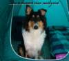 dsc08391_small.jpg