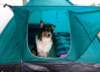 dsc08393_small.jpg