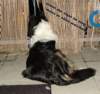 dsc08397_small.jpg
