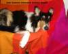 dsc08401_small.jpg