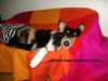 dsc08402_small.jpg