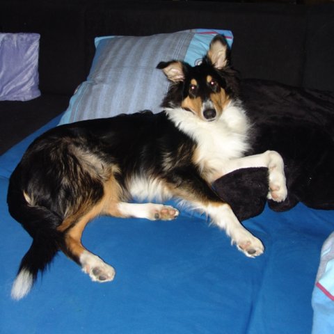 dsc08155.jpg