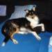 dsc08155_small.jpg