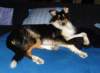 dsc08156_small.jpg