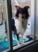 dsc08168_small.jpg