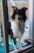 dsc08169_small.jpg