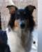 dsc08170_small.jpg
