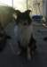 dsc08171_small.jpg