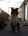 dsc08174_small.jpg
