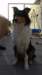 dsc08176_small.jpg