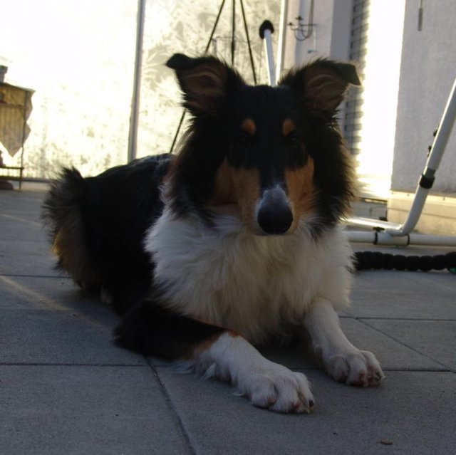 dsc08178.jpg