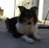 dsc08178_small.jpg